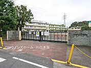 川口市立新郷小学校まで1360m