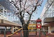 わらび幼稚園まで670m