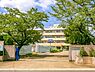周辺：戸田市立美女木小学校まで800m