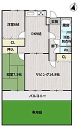 リベラル一ッ葉