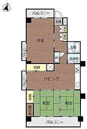 コアマンション清水 3LDKの間取図画像