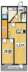 ライオンズマンション四天王寺 1LDKの間取図画像
