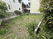 現地写真