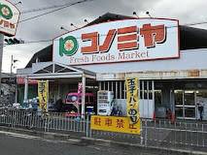 コノミヤ浜寺石...