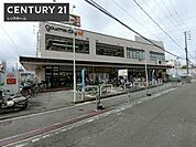 グルメシティ野崎店まで319m
