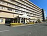 周辺：野崎徳洲会病院まで1138m