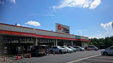 スーパーオザムラーレ東村山店まで1017m