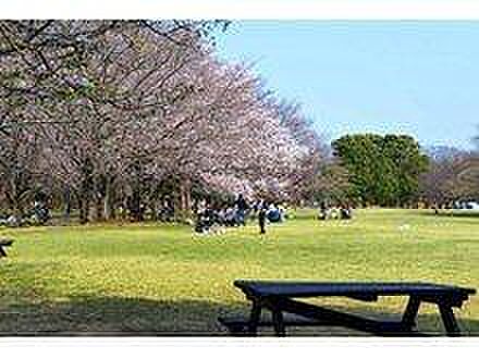 柏の葉公園まで...