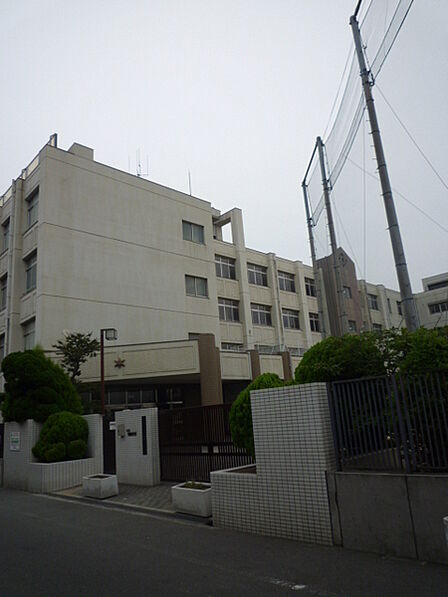 大正南恩加島郵便局まで828m