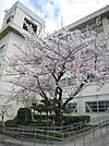 寝屋川市立第八中学校まで1134m