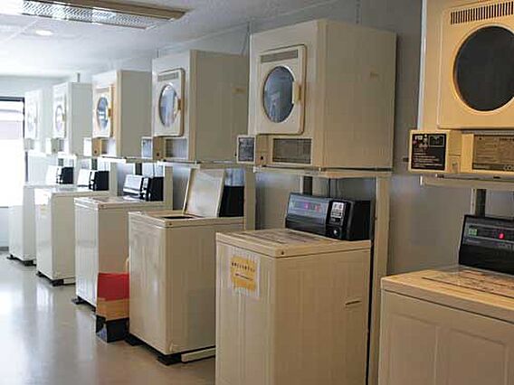 【共用部】コイ...