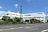 周辺：医療法人社団清心会至聖病院まで1196m