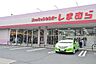 周辺：ファッションセンターしまむら中新井店まで429m、営業時間　10：00～19：00