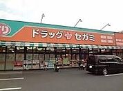 ドラッグセガミ井高野店まで800m