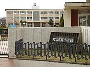 忠岡町立忠岡小学校まで230m