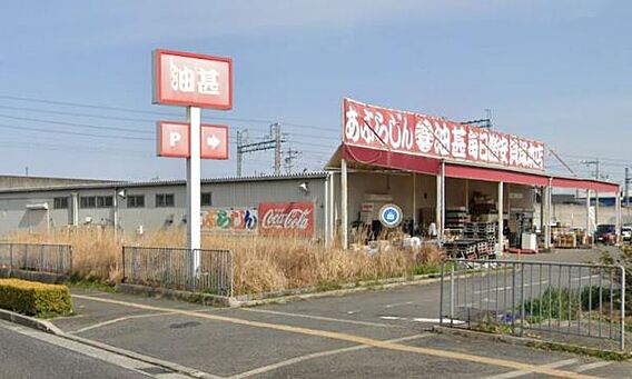 あぶらじん 貝...