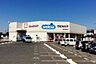 周辺：ウエルシア岸和田春木店まで561m