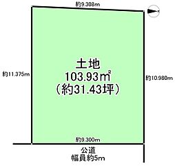6号地
