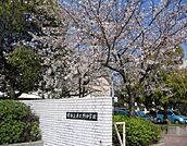 堺市立津久野中学校まで1000m