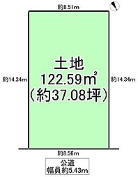 4号地