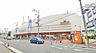 周辺：スギ薬局北野田店まで800m