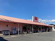 オリンピック草加店まで150m、オリンピック草加店150m(徒歩2分）
