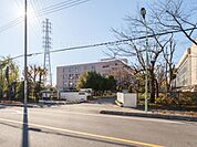 新栄中学校まで800m、新栄中学校800m(徒歩10分)