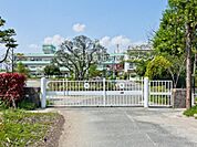 八條小学校まで1200m、八條小学校1200m(徒歩16分）