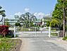 周辺：八條小学校まで200m、八條小学校200m(徒歩3分）