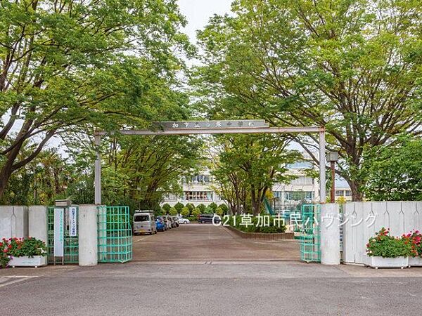 周辺を拡大表示
