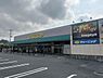 周辺：いなげや草加瀬崎店まで750m、いなげや草加瀬崎店750m(徒歩10分）