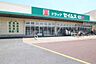 周辺：ドラッグセイムス　モールプラザ草加中央店まで750m、ドラッグセイムス　モールプラザ草加中央店750m(徒歩10分）