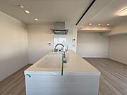 オープンタイプのカウンターキッチンです