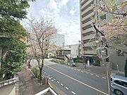 お家からの眺望です。開放感のある眺め。 