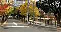 生玉公園まで3...
