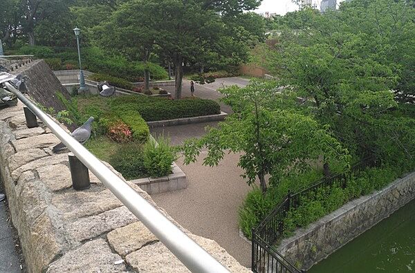 周辺を拡大表示