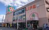 周辺：ライフ杭全店まで724m