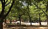 周辺：平野白鷺公園まで585m