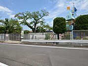 かぴら幼稚園まで242m