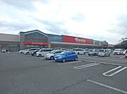 ベイシアひだかモール店まで1200m