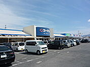 ホームセンターコーナン岩出店まで1011m