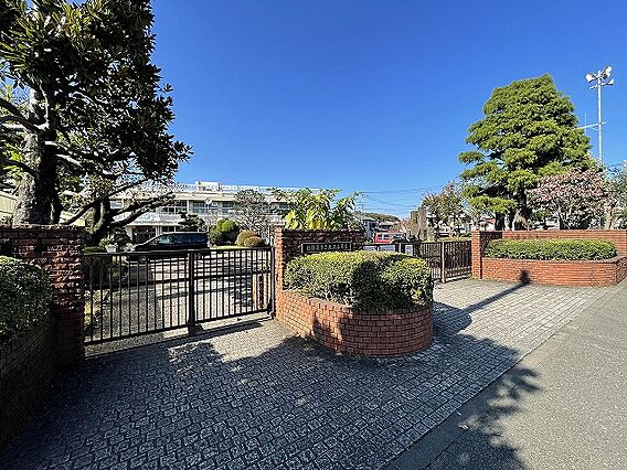 相模原市立大沢...