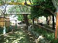 まこと幼稚園ま...