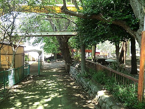 まこと幼稚園ま...