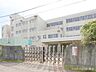 周辺：厚木市立依知小学校まで約700m