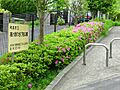 高ヶ坂わさび田...