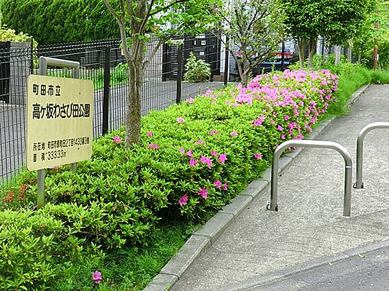 高ヶ坂わさび田...