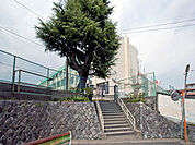 八王子市立第六中学校　距離約700m