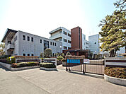 相模原市立小山中学校まで約1100m