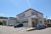 クリエイトS・D　座間入谷店　距離約900m